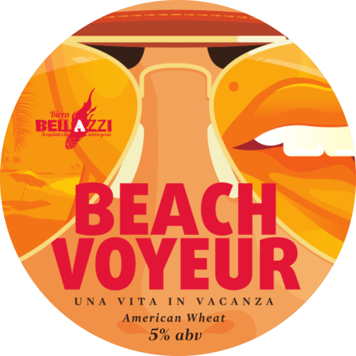 Beach Voyeur
