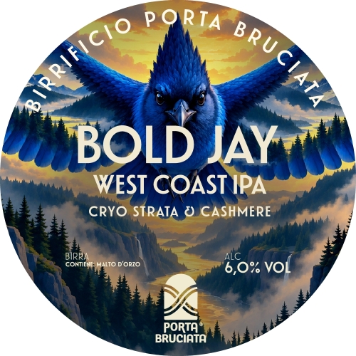 Bold Jay
