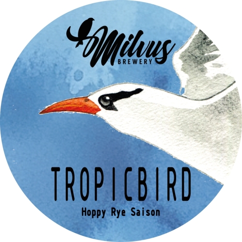 Tropicbird
