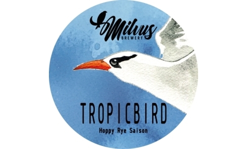 Tropicbird