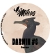 Darwin #6